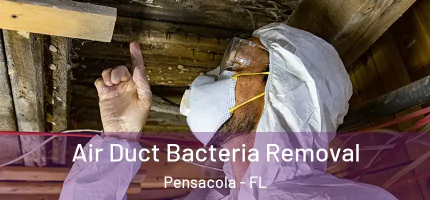  Air Duct Bacteria Removal Pensacola - FL