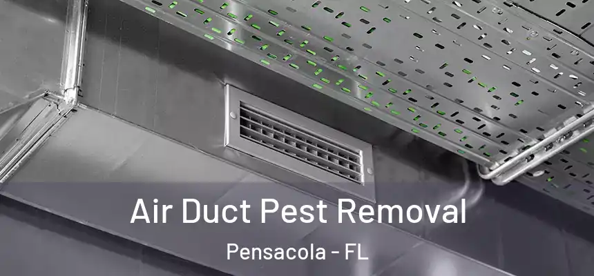  Air Duct Pest Removal Pensacola - FL