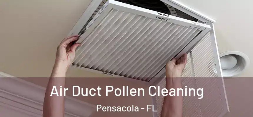  Air Duct Pollen Cleaning Pensacola - FL