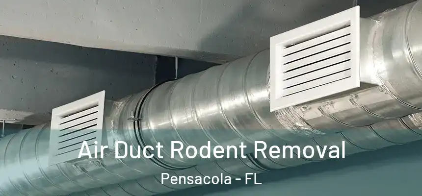  Air Duct Rodent Removal Pensacola - FL