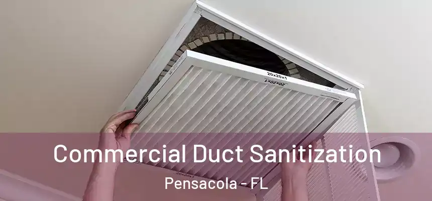  Commercial Duct Sanitization Pensacola - FL