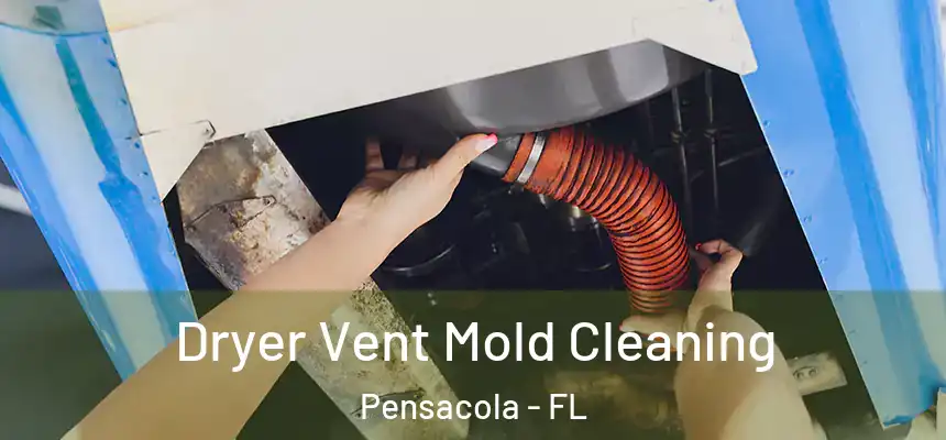  Dryer Vent Mold Cleaning Pensacola - FL