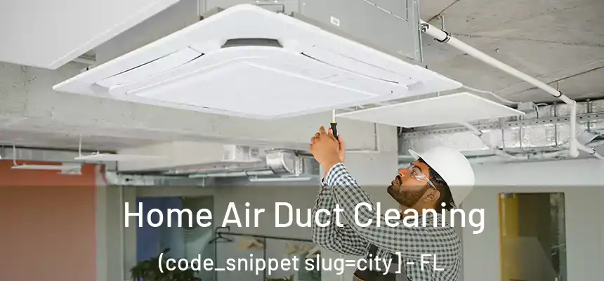  Home Air Duct Cleaning (code_snippet slug=city] - FL
