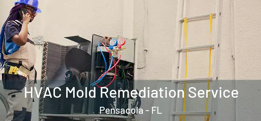  HVAC Mold Remediation Service Pensacola - FL