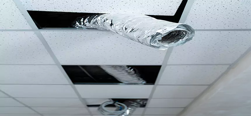 Our Air Duct Pet Hair Removal Services in Pensacola, FL