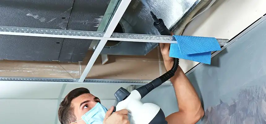 Our Air Duct Rodent Removal Services in Pensacola, FL