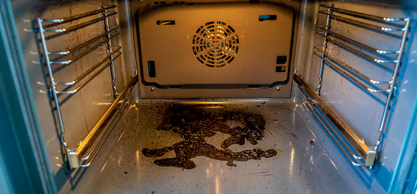 Our Dryer Vent Mold Cleaning Services in Pensacola, FL