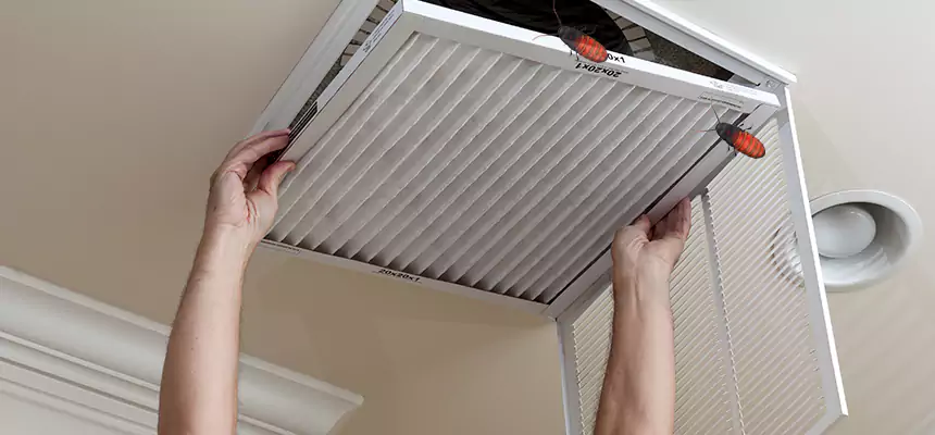 Our Insect Removal from Air Ducts Services in Pensacola, FL