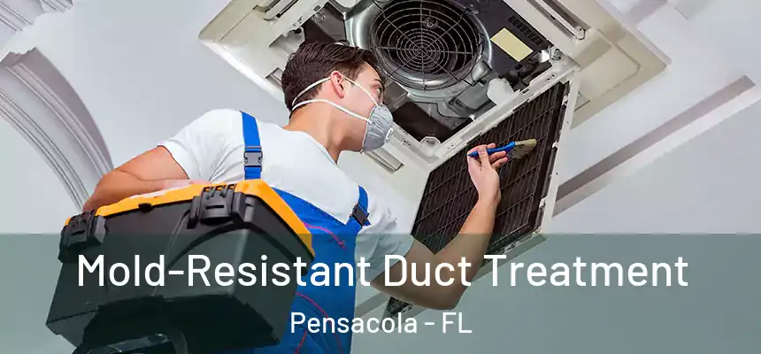  Mold-Resistant Duct Treatment Pensacola - FL