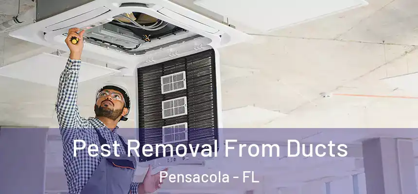  Pest Removal From Ducts Pensacola - FL