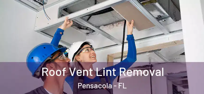 Roof Vent Lint Removal Pensacola - FL