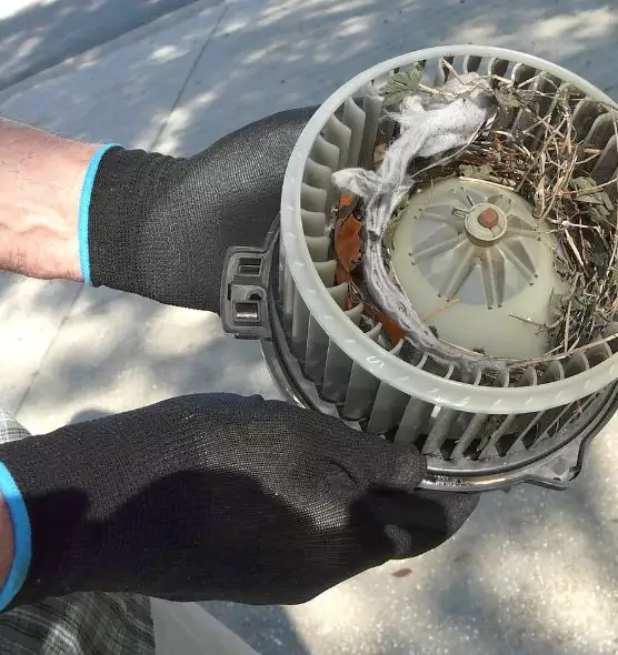 About Air Duct Mice Removal in Pensacola, FL