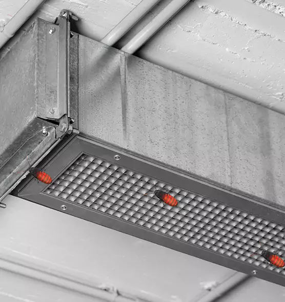 Affordable Insect Removal from Air Ducts in Pensacola, FL
