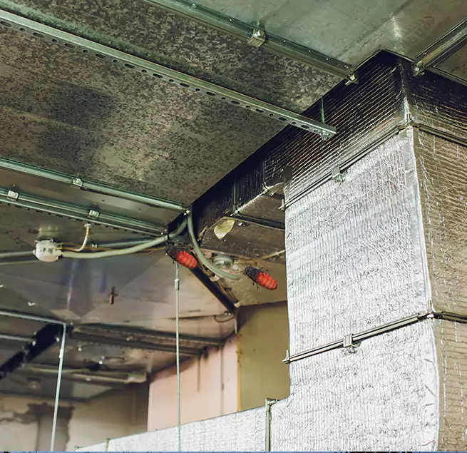 Why Homeowners & Businesses Trust Us in Pensacola, FL?