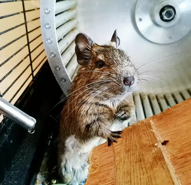 Why Homeowners & Businesses Trust Us Pensacola, FL