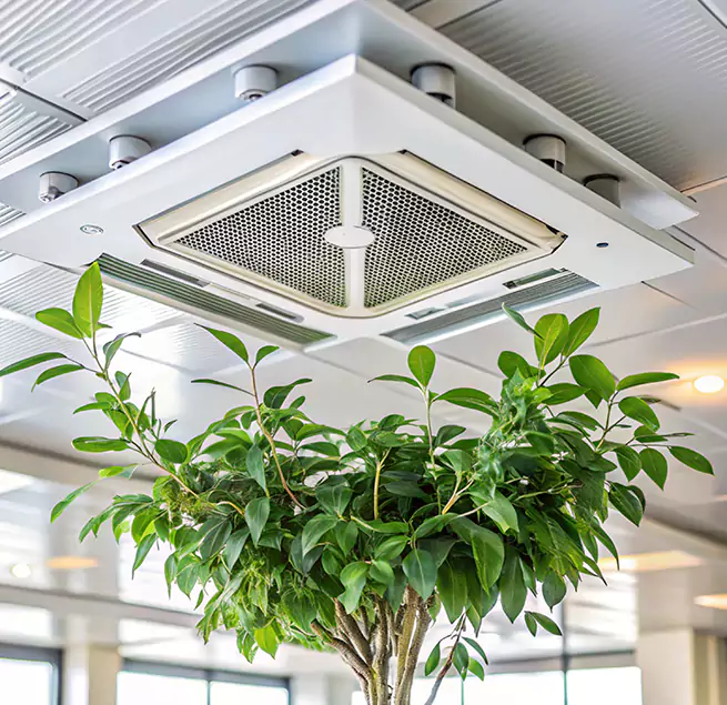 Why Homeowners & Businesses Trust Us in Pensacola, FL