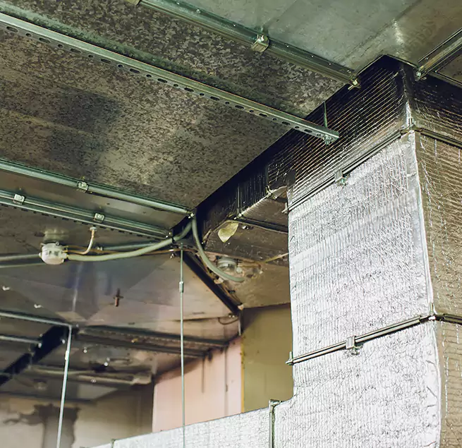 Why Homeowners & Businesses Trust Us in Pensacola, FL?